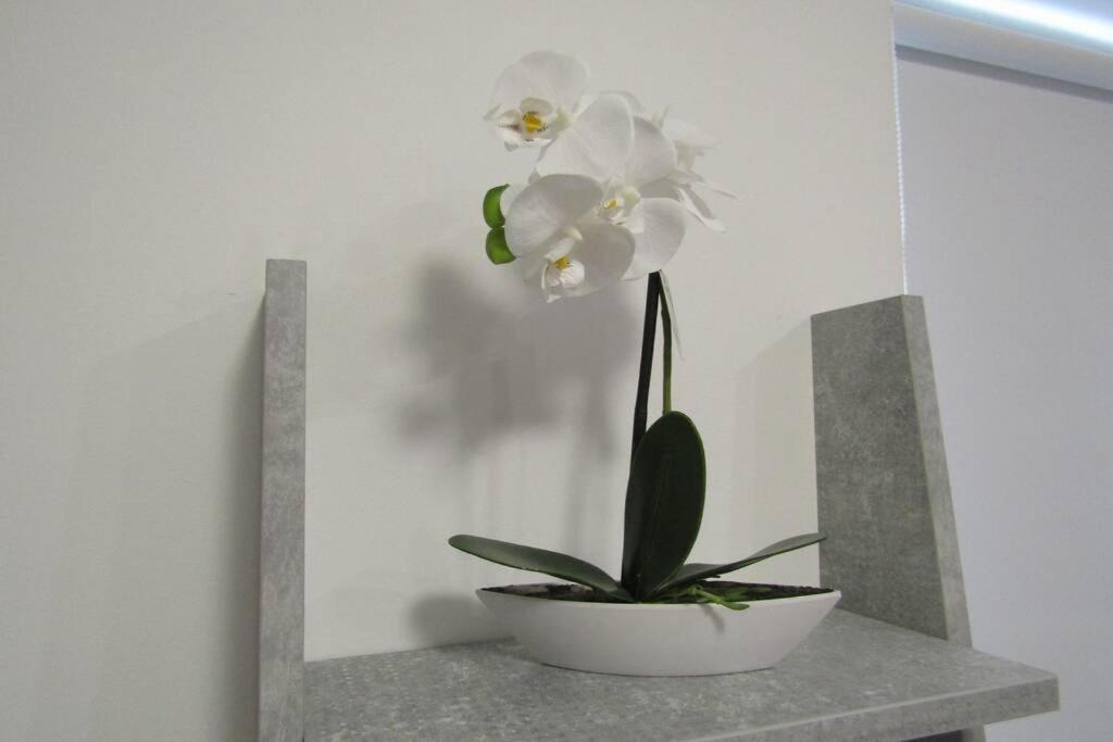 Apartman Megi & Studio Apartman Tomi - Self Check In Krapina Dış mekan fotoğraf