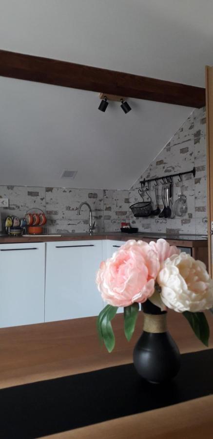 Apartman Megi & Studio Apartman Tomi - Self Check In Krapina Dış mekan fotoğraf